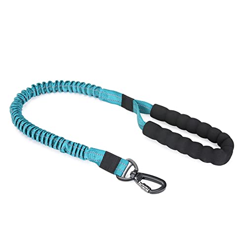 ATUMY Verstellbare Führleine Hundeleine Elastische reflektierende Leine für große Hunde(Blue) von ATUMY