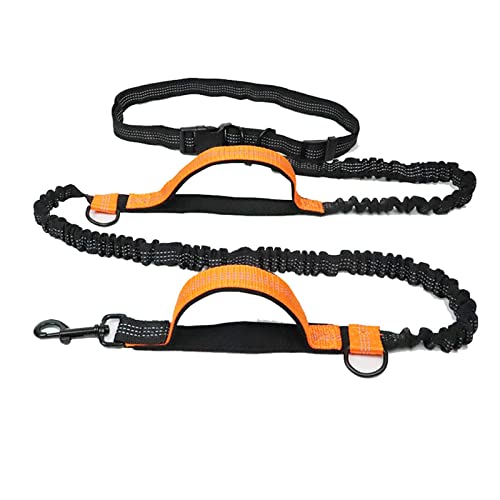 ATUMY Verstellbare Führleine Hundeleine Hände frei, elastische Hundeleine für Laufen, Gehen, Joggen(Orange) von ATUMY