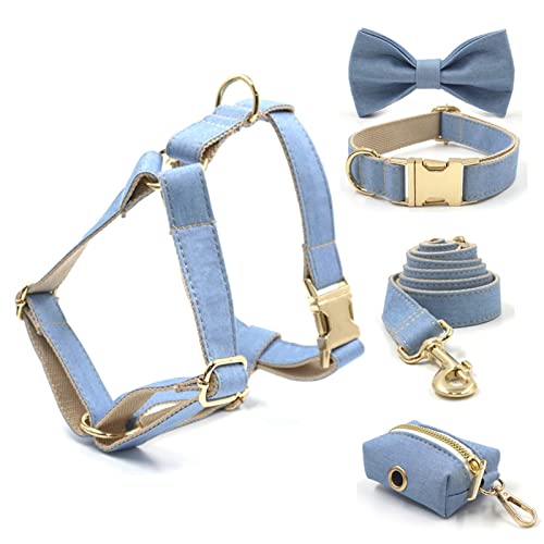 ATUMY Verstellbare Führleine Hundeleine Hellblauer Denim personalisiertes Hundehalsband und Leine Set Fliege Hundegeschirr Mädchen(Gold,L Neck 49-55cm) von ATUMY