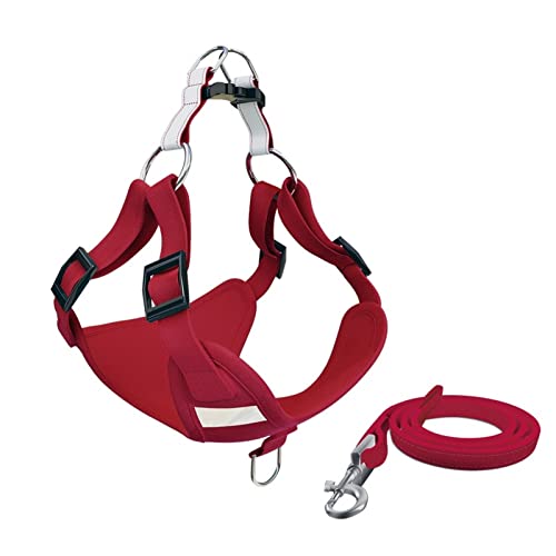 ATUMY Verstellbare Führleine Hundeleine Hundegeschirr, Welpenhalsband, Brustweste, Leine, Haustier-Brustbandgeschirr, Kette für kleine Hunde(Red,XS (3.5-5kg)) von ATUMY