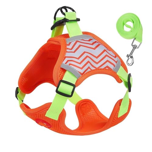 ATUMY Verstellbare Führleine Hundeleine Hundegeschirr-Leine-Set, reflektierendes, atmungsaktives Haustiergeschirr für kleine Hunde und Katzen(Orange,XL 10-14kg) von ATUMY