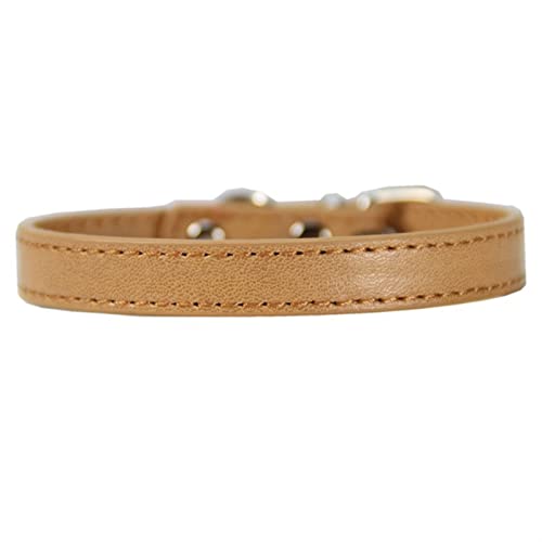 ATUMY Verstellbare Führleine Hundeleine Hundehalsband Heimtierbedarf Großer Hundebedarf Leine Hundehalsband Katzenhalsband(Khaki,1.0S) von ATUMY