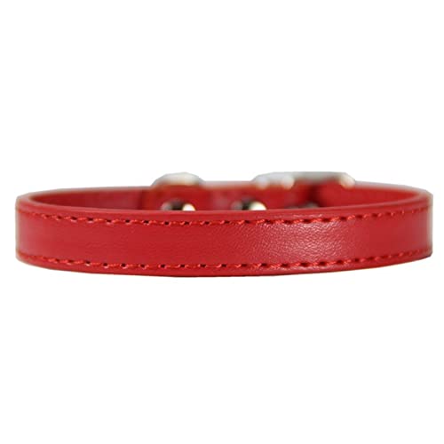 ATUMY Verstellbare Führleine Hundeleine Hundehalsband Heimtierbedarf Großer Hundebedarf Leine Hundehalsband Katzenhalsband(Red,1.0XS) von ATUMY