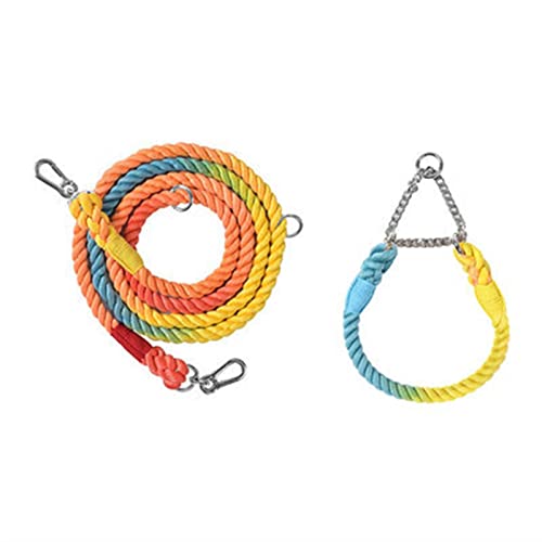 ATUMY Verstellbare Führleine Hundeleine Hundeleine für mittelgroße Hunde, Leinen, Haustiertraining, Laufen, Klettern, Hundeleinen, Hundeseile(Rainbow-Sliver,30-38cm) von ATUMY