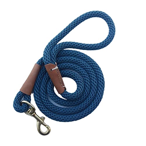 ATUMY Verstellbare Führleine Hundeleine Hundetrainingsleine, Seil, leicht, klein, mittelgroß, Hunde-Tracking-Leinen, 2 m, 5 m, 10 m(Blue,5M(16ft)) von ATUMY