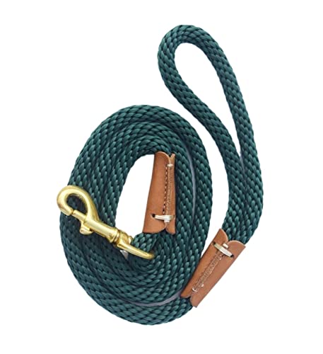 ATUMY Verstellbare Führleine Hundeleine Hundetrainingsleine, Seil, leicht, klein, mittelgroß, Hunde-Tracking-Leinen, 2 m, 5 m, 10 m(Green,1.5M (5ft)) von ATUMY