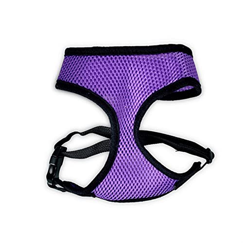 ATUMY Verstellbare Führleine Hundeleine Laufleine für Hündchen, Halsband, Polyester, für kleine, mittelgroße Hunde, Katzen, Haustiere(Black Purple,M) von ATUMY