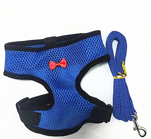 ATUMY Verstellbare Führleine Hundeleine Laufleine für Hündchen, Halsband, Polyester, für kleine, mittelgroße Hunde, Katzen, Haustiere(Blue(with Leash),M) von ATUMY