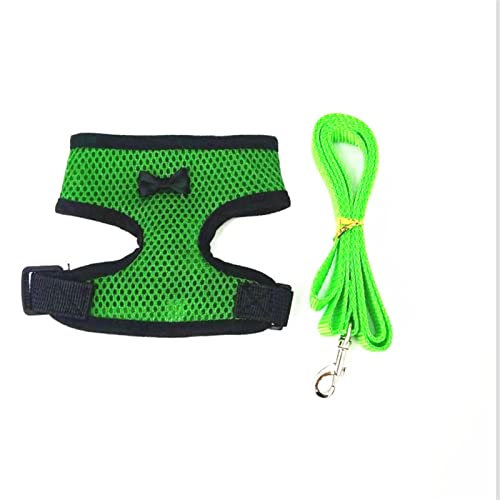 ATUMY Verstellbare Führleine Hundeleine Laufleine für Hündchen, Halsband, Polyester, für kleine, mittelgroße Hunde, Katzen, Haustiere(Green(with Leash),M) von ATUMY