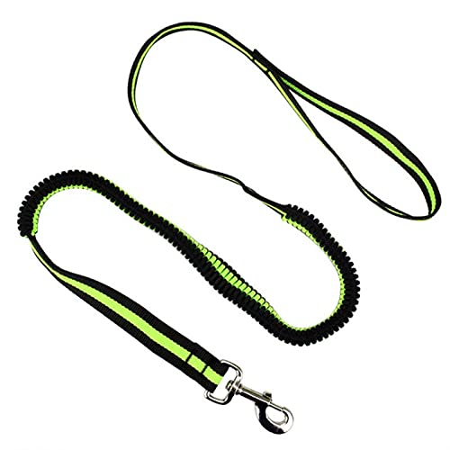 ATUMY Verstellbare Führleine Hundeleine Leine Elastische Haustier Katze Hündchen Leine Anti Dash Pull Hundeleine 190cm Einziehbare Leine(Green,Width 1.0cm) von ATUMY