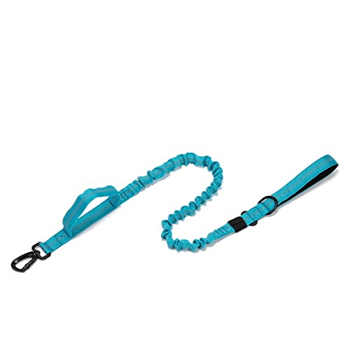 ATUMY Verstellbare Führleine Hundeleine Taktische Hundeleine Nylon Reflektierende Leine Elastisches Zugseil Training Gehen(Blue) von ATUMY