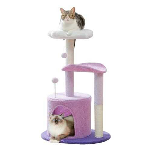 ATUMY möbel für Katzen Blumen-Katzenbaum für Hauskatzen, Kleiner Katzenturm mit Sisal-Kratzbaum, weichem Condo, Plüschsitzstangen katzenbaum(AMT0231PP) von ATUMY