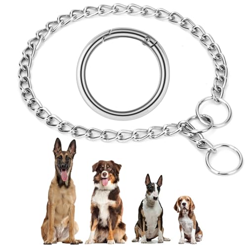 AUAUY Kettenhundkragen, Edelstahl Hundehalskette, Verstellbare Hunde Halsband mit Verbindungsverschluss, Hunde Kette zum Hundetraining, Halskette P-Kettenkragen für Hunden (L: 55 cm, Ø 3,0 mm) von AUAUY