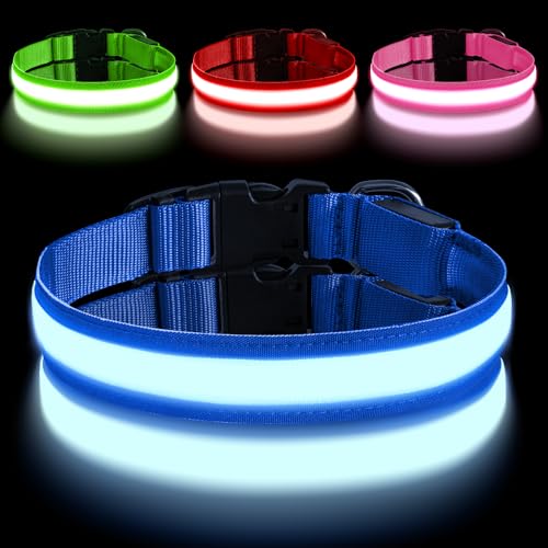 AUAUY Leuchthalsband Hund, Hundehalsband Leuchtend Aufladbar mit 3 Beleuchtungsmodi, Einstellbar Blinklicht Sicherheit Halsband, LED Hundehalsband Wasserdicht für Kleine Mittlere Große Hunde, Blau-M von AUAUY