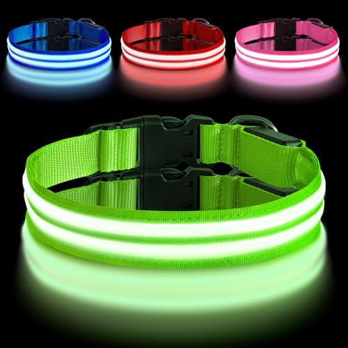 AUAUY Leuchthalsband Hund, Hundehalsband Leuchtend Aufladbar mit 3 Beleuchtungsmodi, Einstellbar Blinklicht Sicherheit Halsband, LED Hundehalsband Wasserdicht für Kleine Mittlere Große Hunde, Grün-L von AUAUY