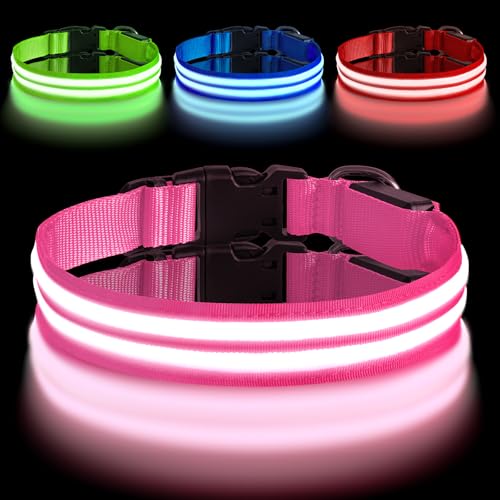 AUAUY Leuchthalsband Hund, Hundehalsband Leuchtend Aufladbar mit 3 Beleuchtungsmodi, Einstellbar Blinklicht Sicherheit Halsband, LED Hundehalsband Wasserdicht für Kleine Mittlere Große Hunde, Rosa-M von AUAUY