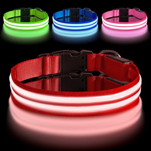 AUAUY Leuchthalsband Hund, Hundehalsband Leuchtend Aufladbar mit 3 Beleuchtungsmodi, Einstellbar Blinklicht Sicherheit Halsband, LED Hundehalsband Wasserdicht für Kleine Mittlere Große Hunde, Rot-L von AUAUY