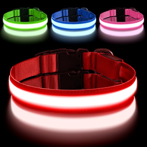 AUAUY Leuchthalsband Hund, Hundehalsband Leuchtend Aufladbar mit 3 Beleuchtungsmodi, Einstellbar Blinklicht Sicherheit Halsband, LED Hundehalsband Wasserdicht für Kleine Mittlere Große Hunde, Rot-L von AUAUY