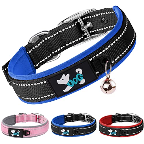 AUAUY Nylon Hundehalsband, Verstellbares Reflektierendes Hundehalsband, Weich Neopren Gepolstert Hundehalsband mit Sicherheitsschnalle Metallschnallen-D-Ring und Etikettenring für alle Rassen(Blau-L) von AUAUY