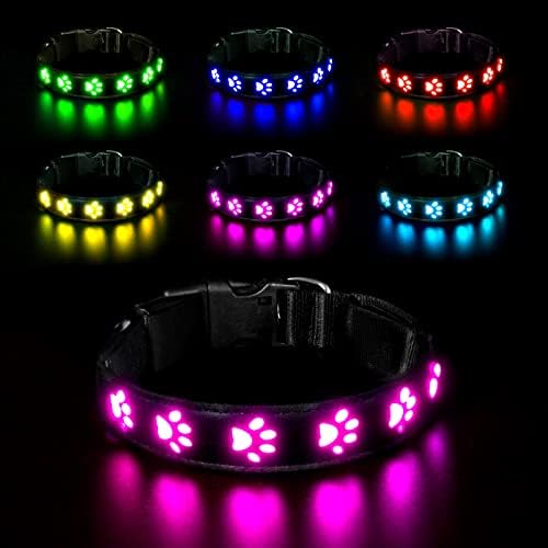 AUAUY Hundehalsband Leuchtend, LED Leuchthalsband Hunde Halsband USB Wiederaufladbar Wasserdichtes für Kleine Mittlere Große Haustier Einstellbar Sicherheit Kragen mit 6 Farben (Colorful-L) von AUAUY