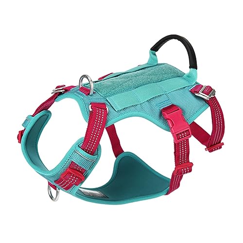 AUHAIEM Harnais Pour Chien Pour Chiens Gilet RéFléChissant Pour Chien Gilet Rembourré RéGlable Pour Animal De Compagnie Avec PoignéE De ContrôLe Facile,Blue l von AUHAIEM