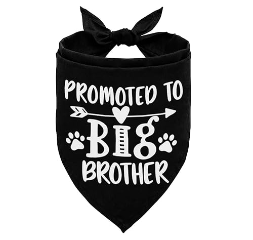 Hundehalstuch, Promoted to Big Brother, Hundeschal, klassischer schwarzer Druck, Hundeschal, Zubehör, Hundehalstuch, Haustierschal, schwarzer Schal, Geschlechtsoffenbarungszubehör, Hunde-Bandana, von AUII JO DESIGN