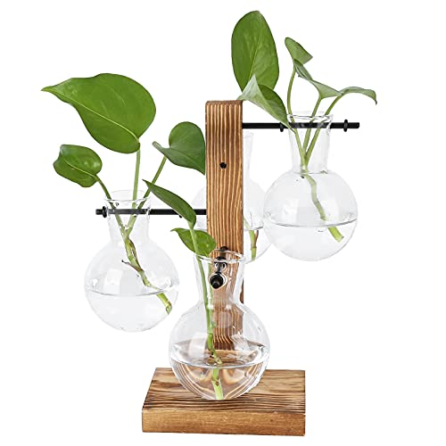 Pflanzen-Terrarium mit Holzständer, Desktop-Hydrokultur-Blumenvase, Luft-Pflanzgefäßhalter mit 4 Glühbirnen, Glasvase und Massivholzständer für Zuhause, Büro, Dekoration, transparent von AUNMAS