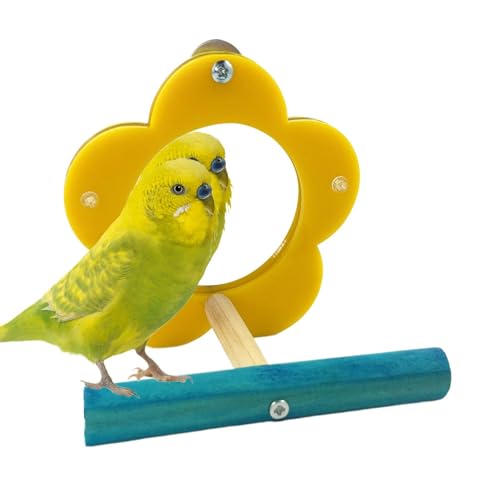 AUTOECHO Bird Shotet Mirror, Vogelspiegel für Käfig,Vogelspiegel -enspielzeug Interaktives Spiel | Shot -Toys -Kau -Anreicherungsständer für, Cockatiel, Lovebird von AUTOECHO