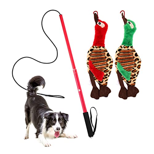 AUTOECHO Dog Flirt Pole, Ausziehbarer Teaser Zauberstab für kleine und mittlere Hunde, Interaktives Spaßspielzeug für draußen mit elastischem Nylonseil für Trainingsübungen von AUTOECHO