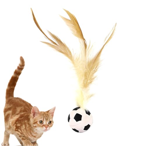 AUTOECHO Federkugel Bounce Cat Toy, Katzenspielzeug für Innenkatzen, Bounce Federed Ball Dog Toy, Kreatives Kätzchenkauspiel für Stimulierungen der Neugier der Hunde Haustierjagd von AUTOECHO