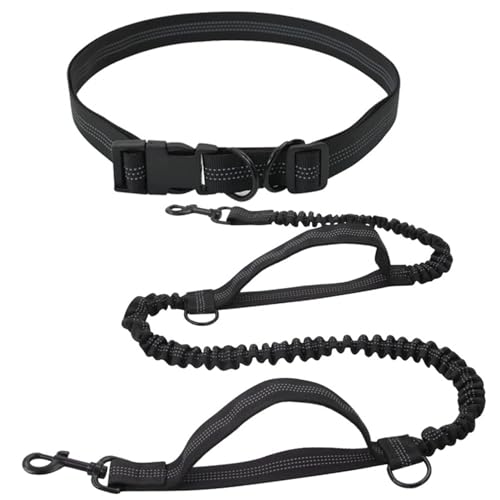 AUTOECHO Gürtel-Seil für Hunde, freihändiges Seil für Hunde | Seil zum Spazierengehen mit Hunden,Freihändiges, reflektierendes Hundeseil, vielseitig verstellbares langes Seil, einfach am Hüftgurt von AUTOECHO