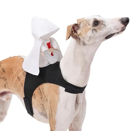 AUTOECHO Halloween-Kleidung für Hunde – Kreuzritter-Stil, Party-Verkleidung – Halloween-Cosplay-Outfit, Haustierkostüm, Hundebekleidung für kleine, mittelgroße und große Hunde von AUTOECHO