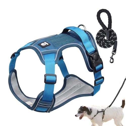 AUTOECHO Hundegeschirr Set | Atmungsaktives Reflektierendes Hundegeschirr Verstellbares Hundegeschirr | Hunde Zuggeschirr Hundegeschirr Halsband Set mit Polsterung für Outdoor-Aktivitäten von AUTOECHO