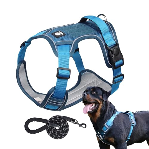 AUTOECHO Hundegeschirr mit Griff | Atmungsaktives Reflektierendes Hundegeschirr Verstellbares Hundegeschirr | Flexibles Hunde Brustgeschirr Hund Zuggeschirr für Outdoor-Aktivitäten von AUTOECHO