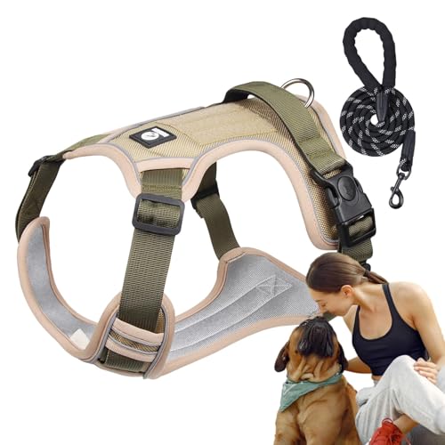 AUTOECHO Hundetrainingsgeschirr, Bequemes Reflektierendes Hundegeschirr Verstellbares Hundegeschirr, Flexibel Hunde Brustgeschirr Hund Zuggeschirr für Outdoor-Aktivitäten von AUTOECHO