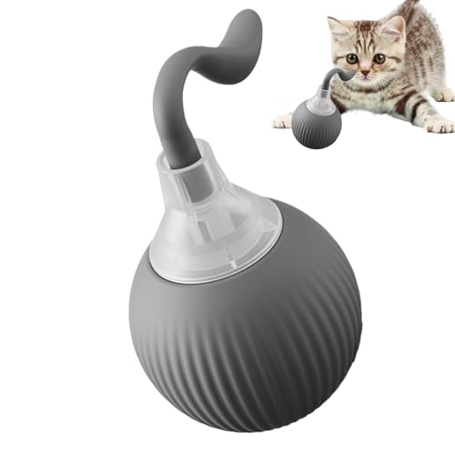 AUTOECHO Interaktiver Katzenspielzeugball,Interaktiver Katzenball,Intelligentes Haustier-Übungsspielzeug | Wiederaufladbarer Smart Pet Kitten Automatischer Rollball zum Spielen im Innenbereich von AUTOECHO