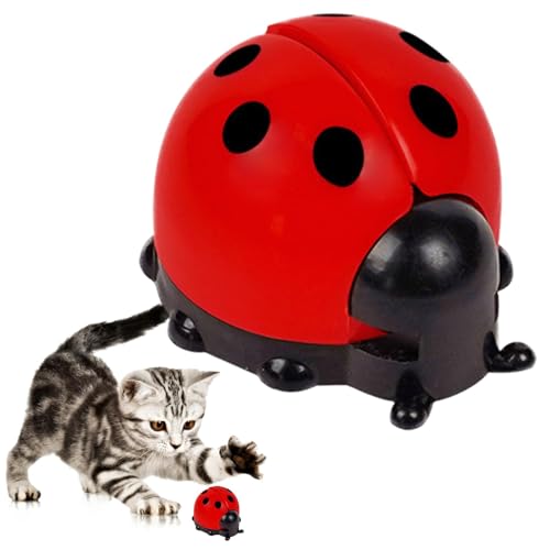 AUTOECHO Katzenminze-Wandball, Katzenminze-Bälle für Katzen - Süße Wand-Katzenminze-Bälle | Essbarer Spielzeugball mit Katzenminze, Kätzchen-Beißspielzeug mit Aufbewahrungsdeckel für drinnen und von AUTOECHO