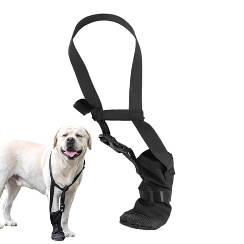 AUTOECHO Kleine Hundeschuhe, Hundestiefel - Atmungsaktive Pfotenschutzhülle für Hundestiefel | Pfotenschutz mit verstellbarem Riemen für Hunde, Schuhüberzug mit verstellbarem Riemen für Schnee und von AUTOECHO