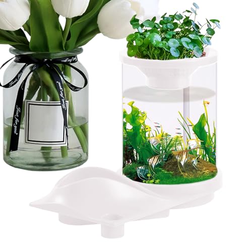 AUTOECHO Kleines Aquaponic-Aquarium, Desktop-Betta-Aquarium - Durchscheinender, leiser Wassertank mit Filtersystem - Selbsterhaltendes Aquarium mit Aquarium-Aquaponik-Ökosystem für Fischgeschäft, von AUTOECHO