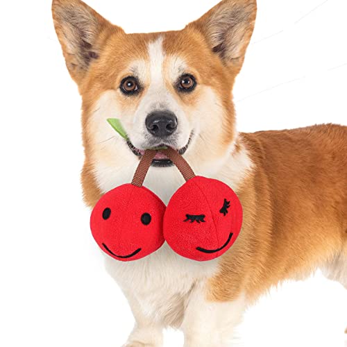 AUTOECHO Quietschende Spielzeuge für Hunde - Spiky Chew Dog Balls für kleine Hunde, die jederzeit anbeißen können Kirsche - Interaktiver Ball IQ-Training & geistige Bereicherung Giggle Sound Rolling von AUTOECHO