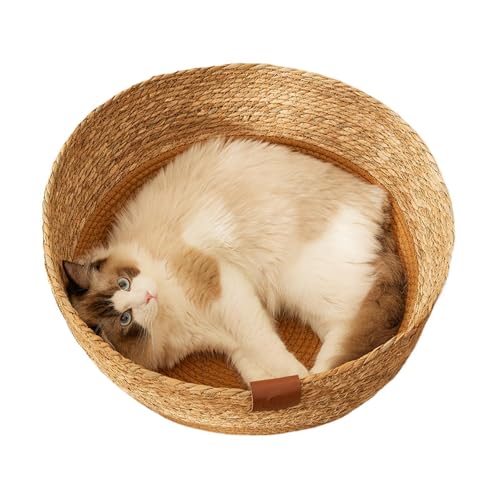 AUTOECHO Rattan-Katzenbett, Weiden-Katzenbett - Rattangeflecht Katzenliege Gewebtes Katzenbett | Hundebett aus Korbgeflecht, Katzenkorb, Katzenkratzbrett für Katzen im Innenbereich, Kätzchen, Katze, von AUTOECHO