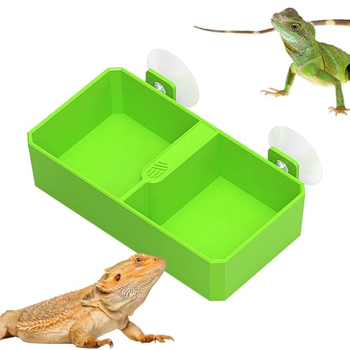 AUTOECHO Reptilien-Futterstation mit Saugnapf, Chamäleon-Schüssel | Futternapf für Reptilien, Wassernapf,Chamäleon-Futternapf, 2 Gitter, Reptilien-Futternapf für Gecko, Bartschlange, Drache von AUTOECHO