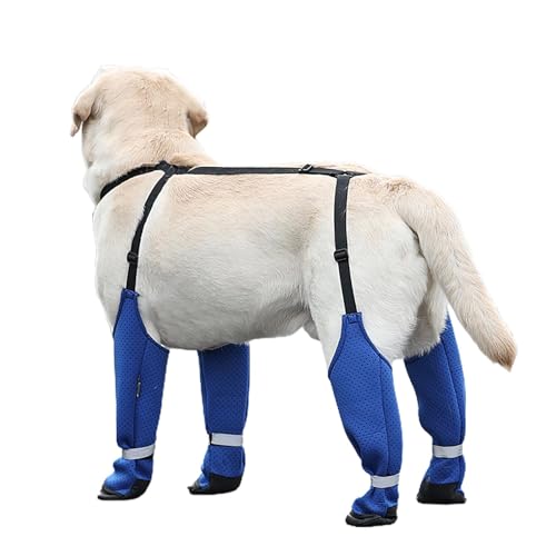 AUTOECHO Schneeschuhe für Hunde,Hundepfoten-Stiefel-Leggings - Winterstiefel für Welpen - Schmutzfeste, rutschfeste Welpen-Garten-Walking-Pfoten-Schuhe für Vier Jahreszeiten von AUTOECHO