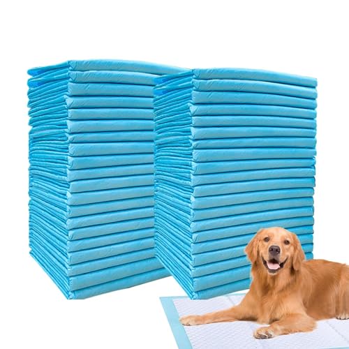 AUTOECHO Wee Wee Pads für Hunde,Puppy Pee Pads | Super saugfähige Welpenunterlagen | Pinkel-Pads für das Training von Welpen, schnell trocknend, keine auslaufenden Pinkel-Pads, Hunde-Trainingspads für von AUTOECHO