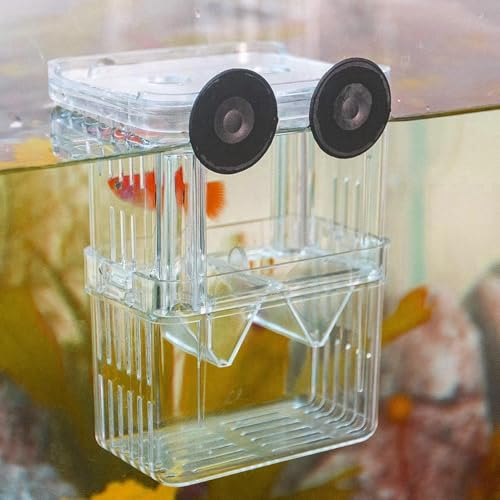 Fischzuchtbox, kleines Aquarium, Kunststoff, Zuchtbox für Guppy, tropische Fische, schwimmender Fisch-Inkubator, Tankteiler mit Saugnäpfen (11 x 8 x 7 cm) von AUTUUCKEE