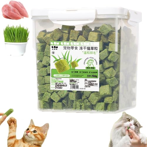 AUWIRUG 60/80Pcs Cat Grass Teething Stick, Cat Grass Teething Sticks for Indoor Cats, Cat Grass Sticks, Cat Grass Chew Stick, Natural Grass Molar Rod Cat Toy Teeth Cleaner (1Bucket(260g)) von AUWIRUG