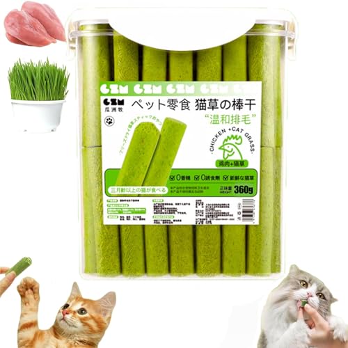 AUWIRUG 60/80Pcs Cat Grass Teething Stick, Cat Grass Teething Sticks for Indoor Cats, Cat Grass Sticks, Cat Grass Chew Stick, Natural Grass Molar Rod Cat Toy Teeth Cleaner (1Bucket(60pcs)) von AUWIRUG