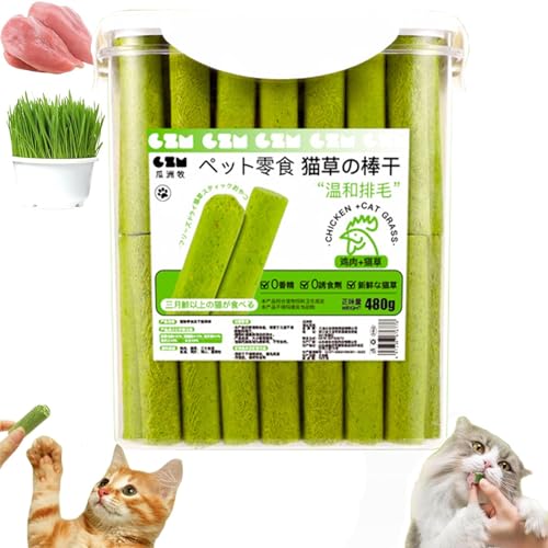 AUWIRUG 60/80Pcs Cat Grass Teething Stick, Cat Grass Teething Sticks for Indoor Cats, Cat Grass Sticks, Cat Grass Chew Stick, Natural Grass Molar Rod Cat Toy Teeth Cleaner (1Bucket(80pcs)) von AUWIRUG