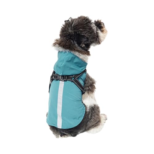 AUklOPVZZ Leichte und atmungsaktive Haustier Regenjacke, für regnerische Spaziergänge, Hund mit Kapuze, wasserdichte Regenjacke, Polyester Hunde Regenmantel, stilvoll, Grün, S von AUklOPVZZ