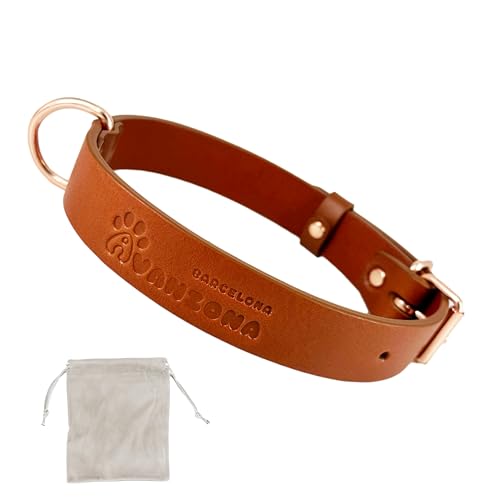 Hundehalsband Aus Leder, Weiches Qualitätsleder, Kleiner Mittlerer Großer Hund. Cognac Und Rose Gold. von AVANZONA